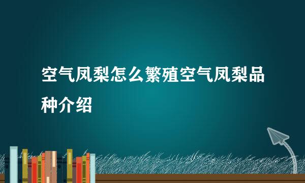 空气凤梨怎么繁殖空气凤梨品种介绍