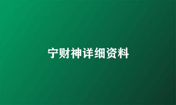 宁财神详细资料