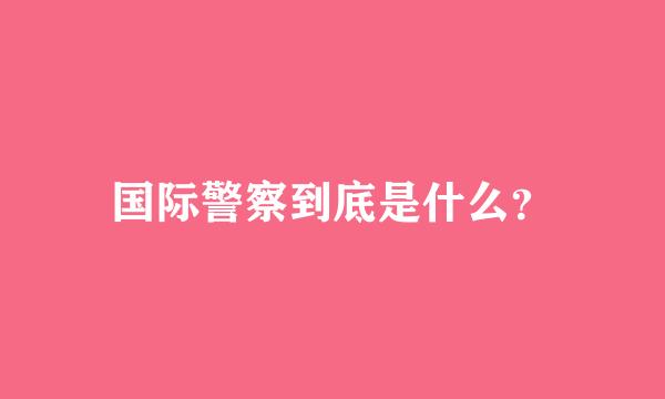 国际警察到底是什么？