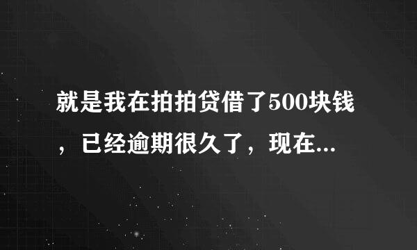 就是我在拍拍贷借了500块钱，已经逾期很久了，现在大概700或800多左右，