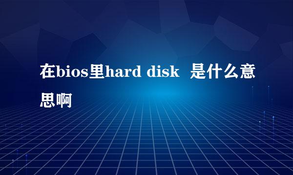 在bios里hard disk  是什么意思啊