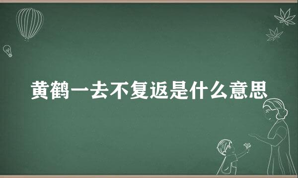 黄鹤一去不复返是什么意思