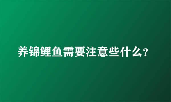 养锦鲤鱼需要注意些什么？