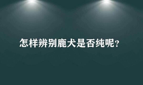 怎样辨别鹿犬是否纯呢？