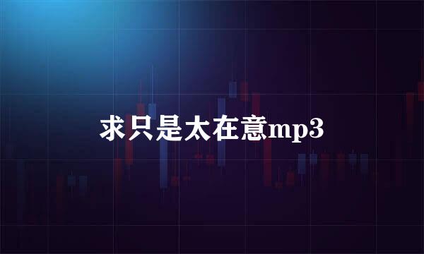 求只是太在意mp3