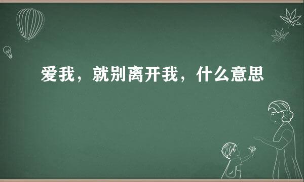 爱我，就别离开我，什么意思