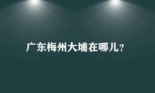 广东梅州大埔在哪儿？