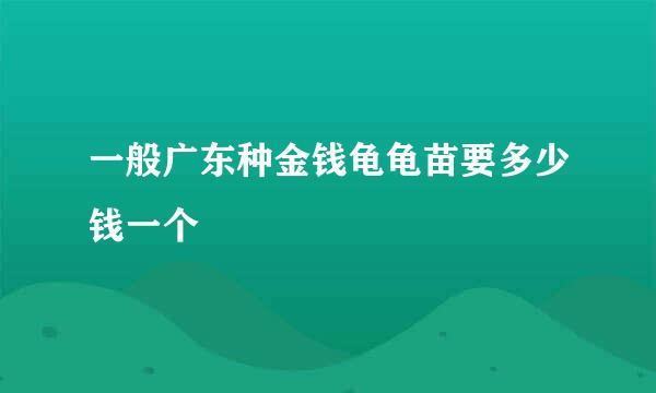 一般广东种金钱龟龟苗要多少钱一个