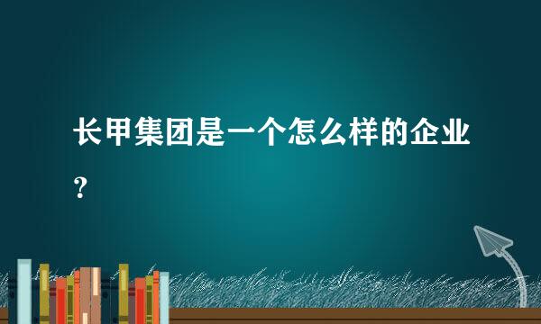 长甲集团是一个怎么样的企业？