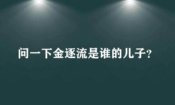 问一下金逐流是谁的儿子？