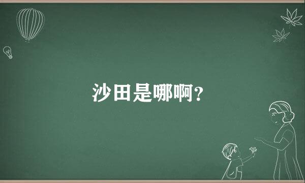 沙田是哪啊？