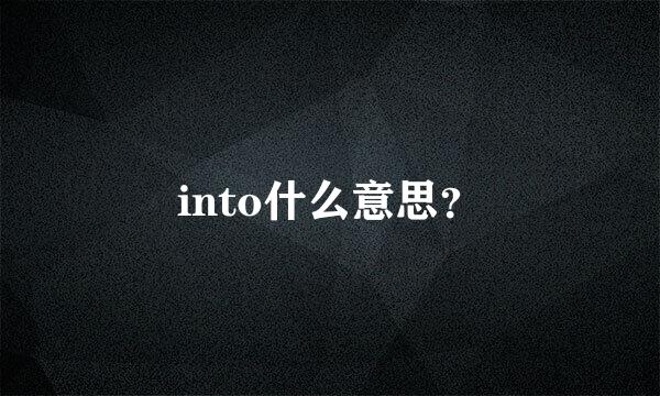 into什么意思？