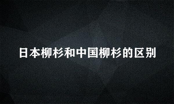 日本柳杉和中国柳杉的区别