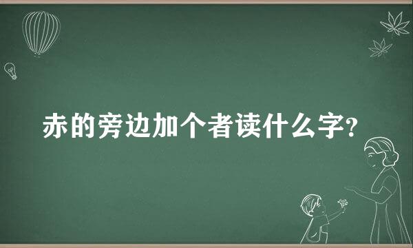 赤的旁边加个者读什么字？