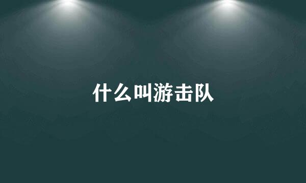 什么叫游击队