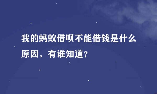 我的蚂蚁借呗不能借钱是什么原因，有谁知道？