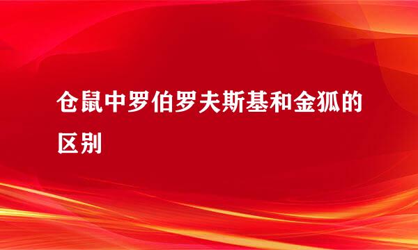 仓鼠中罗伯罗夫斯基和金狐的区别