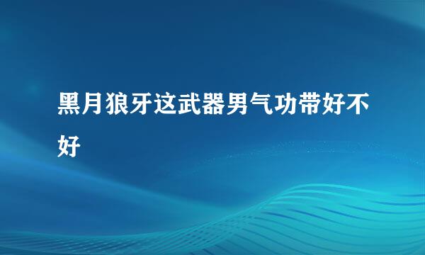 黑月狼牙这武器男气功带好不好