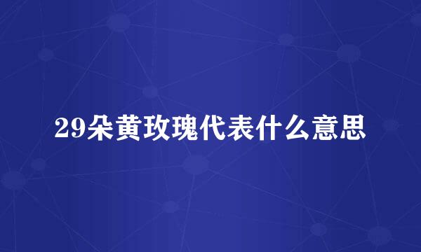 29朵黄玫瑰代表什么意思