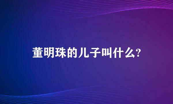 董明珠的儿子叫什么?