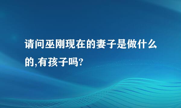 请问巫刚现在的妻子是做什么的,有孩子吗?