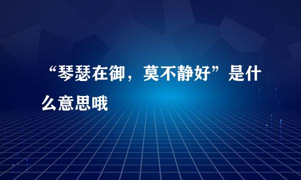 “琴瑟在御，莫不静好”是什么意思哦