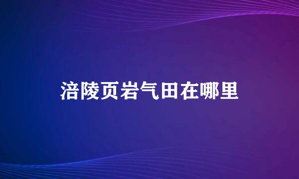 涪陵页岩气田在哪里