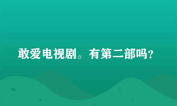 敢爱电视剧。有第二部吗？