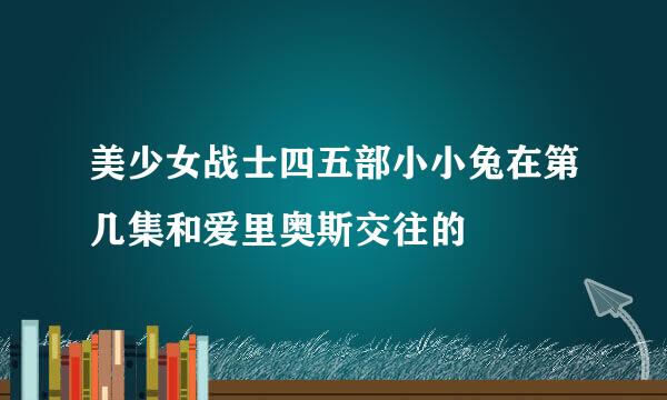 美少女战士四五部小小兔在第几集和爱里奥斯交往的