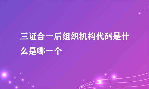 三证合一后组织机构代码是什么是哪一个