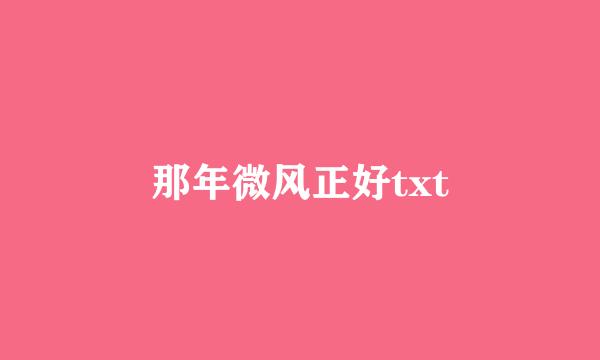 那年微风正好txt