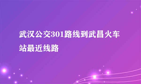 武汉公交301路线到武昌火车站最近线路