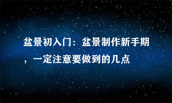 盆景初入门：盆景制作新手期，一定注意要做到的几点