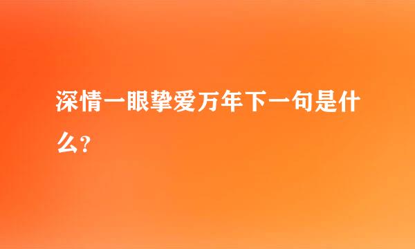 深情一眼挚爱万年下一句是什么？