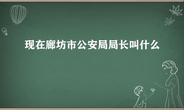 现在廊坊市公安局局长叫什么