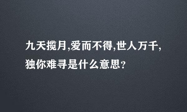 九天揽月,爱而不得,世人万千,独你难寻是什么意思？