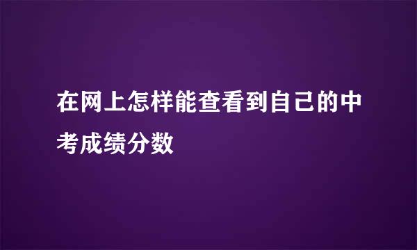 在网上怎样能查看到自己的中考成绩分数