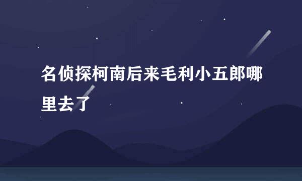 名侦探柯南后来毛利小五郎哪里去了