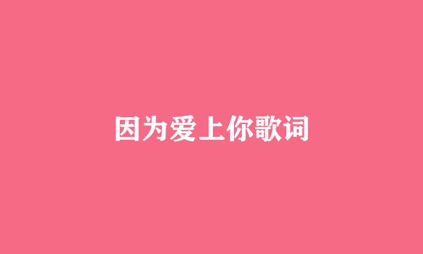 因为爱上你歌词