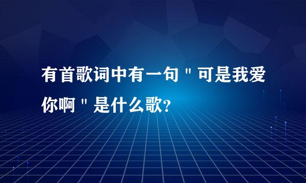 有首歌词中有一句＂可是我爱你啊＂是什么歌？