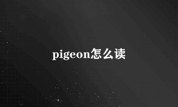 pigeon怎么读