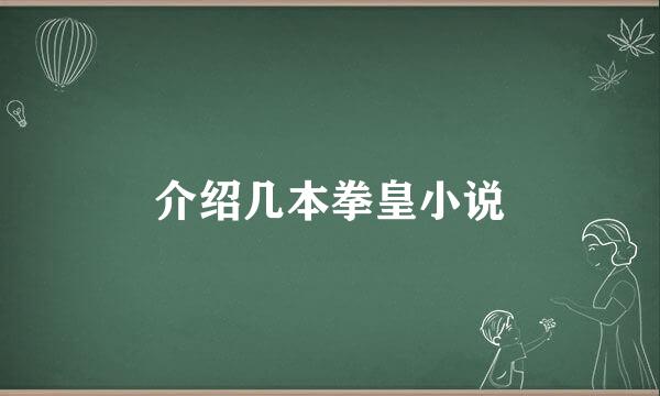 介绍几本拳皇小说