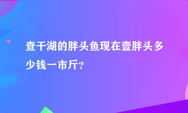 查干湖的胖头鱼现在壹胖头多少钱一市斤？