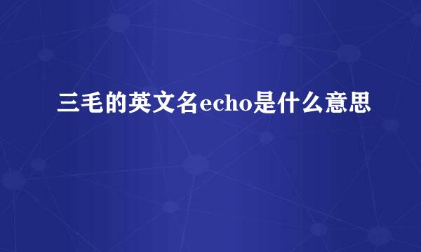 三毛的英文名echo是什么意思