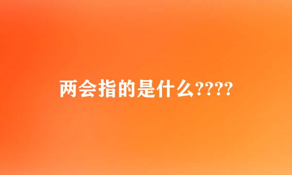 两会指的是什么????