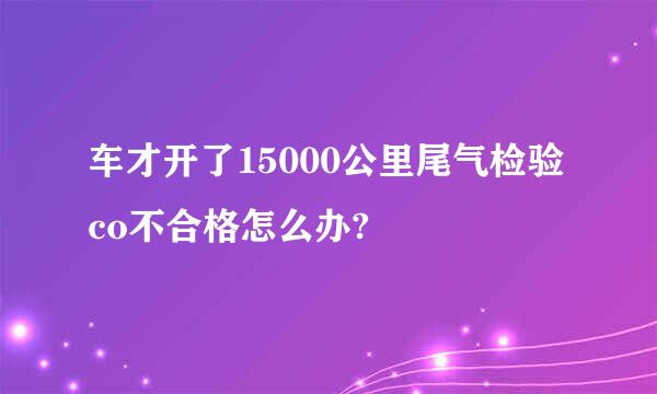 车才开了15000公里尾气检验co不合格怎么办?