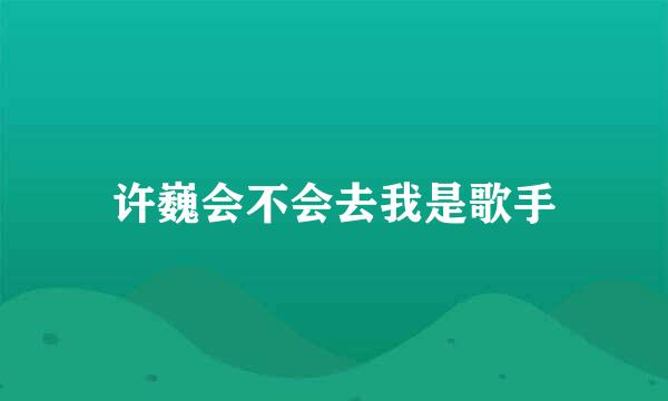 许巍会不会去我是歌手