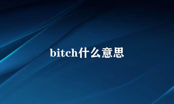 bitch什么意思