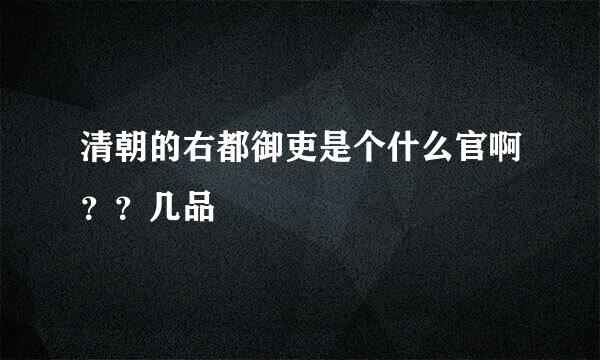 清朝的右都御吏是个什么官啊？？几品