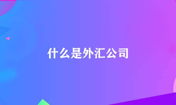 什么是外汇公司